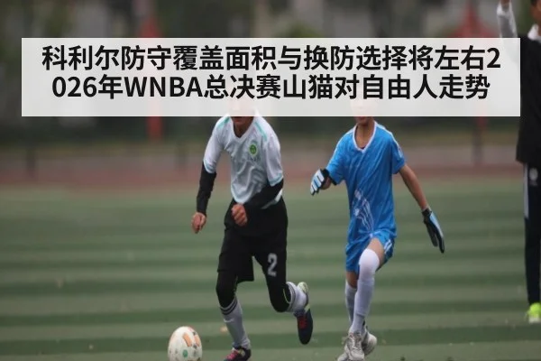 科利尔防守覆盖面积与换防选择将左右2026年WNBA总决赛山猫对自由人走势（kaiyun）